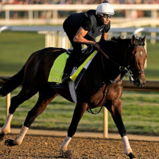 kentucky derby horse betting picks