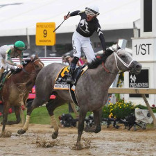 potential triple crown winner