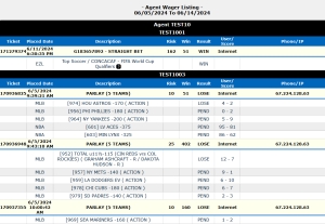 PricePerPlayer Pay Per Head Review aceagent