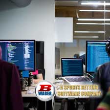 using white label sportsbook solution